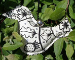 Enchanted door bird